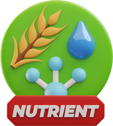 3D Nutrient Illustration